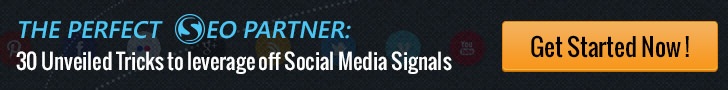 The Perfect SEO Partner