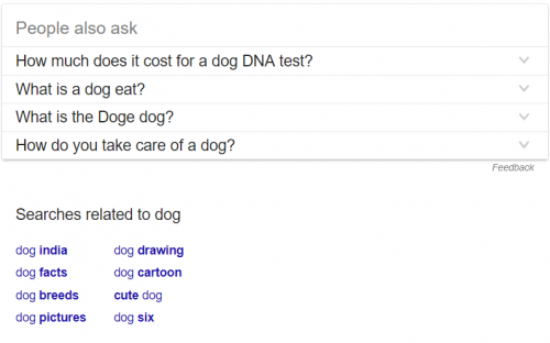 dog lsi keyword
