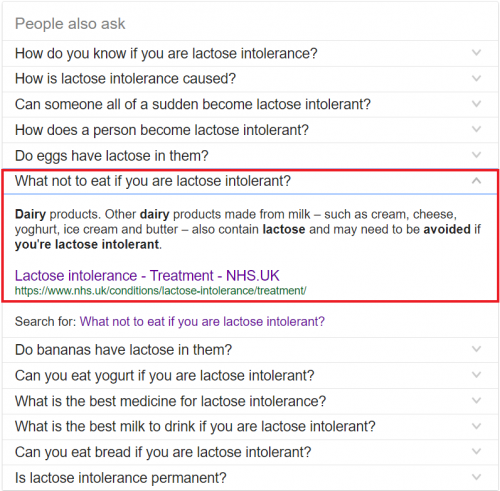 people also ask snippet serp