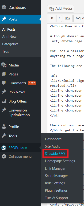 sitewide seo