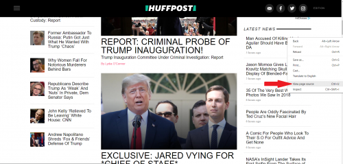 View page source
