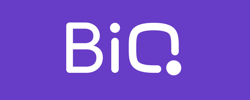 BiQ's Name and Logo
